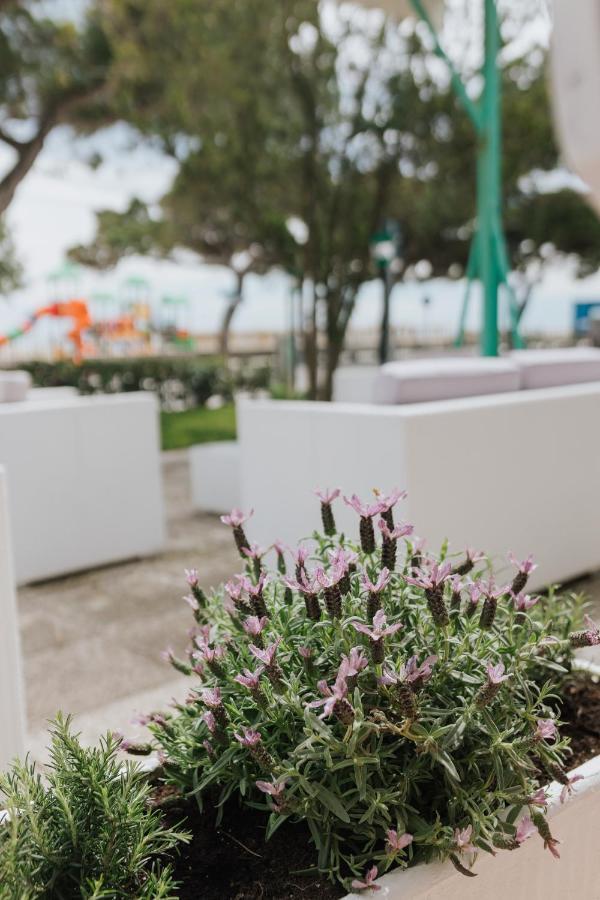 Hotel Villa Franca Λινιάνο Σαμπιαντόρο Εξωτερικό φωτογραφία